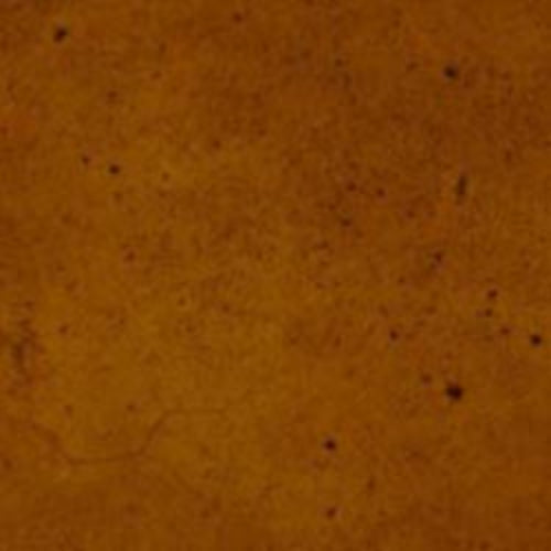 Ten Second Color Acetone Based Stain