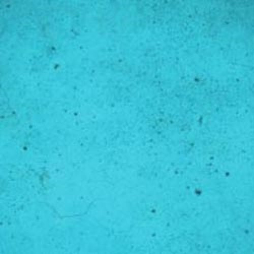 Ten Second Color Acetone Based Stain