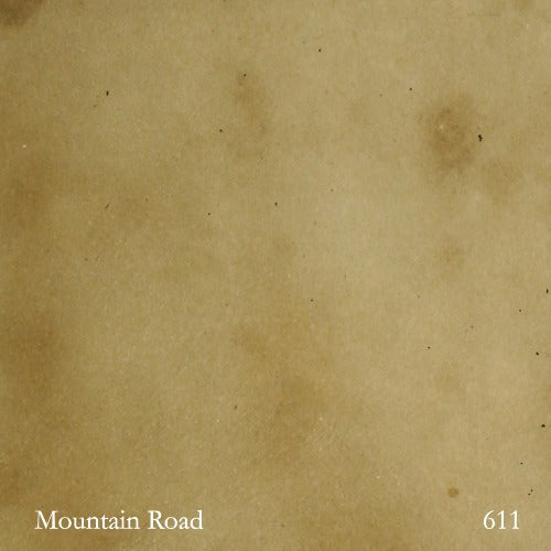 Reactive Acid Chemical (RAC) Concrete Stain