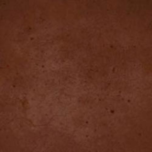 Ten Second Color Acetone Based Stain