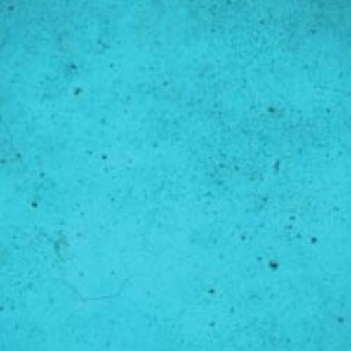 Ten Second Color Acetone Based Stain